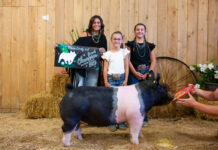 2025 Mercer County 4-H Livestock Sale results