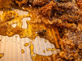 How to use honey for healing Matt Partsch honey