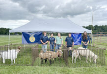 Roundup of FFA news for Sept. 4, 2025 black river ffa