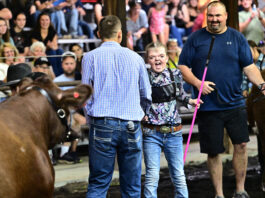 Claire Coumos claims grand champion beef banner at Portage County Randolph Fair claire coumos