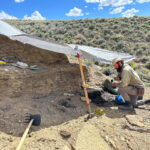 Cincy Museum fossil collection grows after summer field season dig