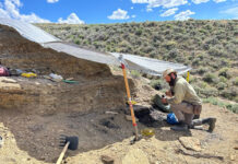 Cincy Museum fossil collection grows after summer field season dig