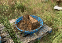 Fall feeding and yellow jackets feeding station