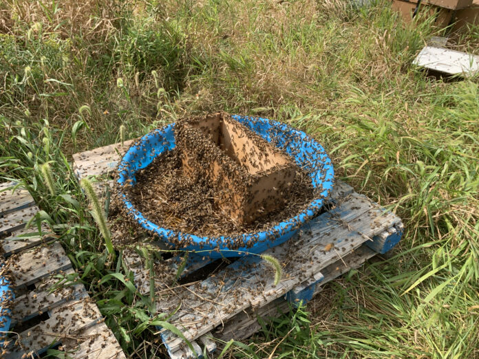 feeding station feeding station