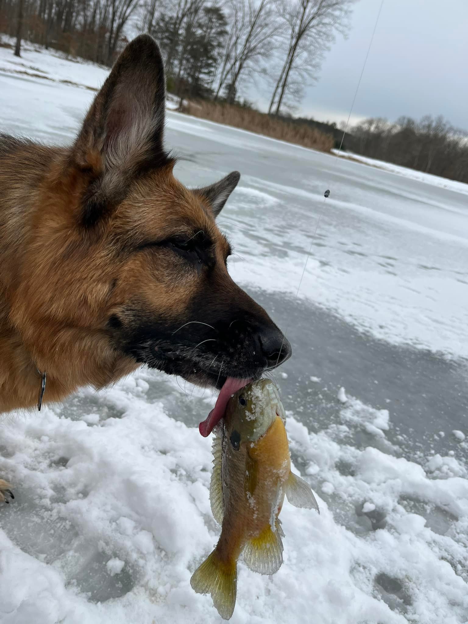ice fishing sally