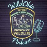 wildohio podcast header