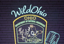 Get to know the WildOhio podcast crew wildohio podcast header
