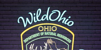 wildohio podcast header