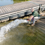 Muskies stocked in select Ohio lakes 20,000 muskies