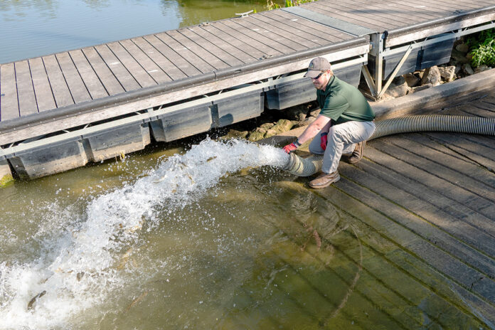 20,000 muskies 20,000 muskies