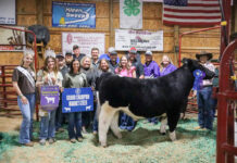 2025 Belmont County Junior Fair Sale results GRAND CHAMPION MARKET STEER: JENNER LIBERATI