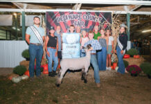 2025 Delaware County Junior Fair Sale results