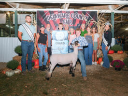 2025 Delaware County Junior Fair Sale results