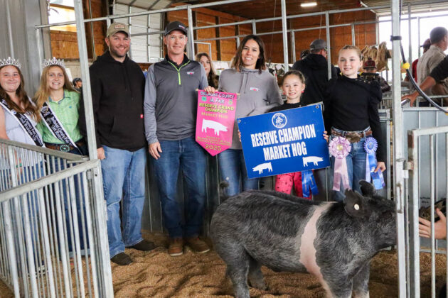 RESERVE CHAMPION MARKET HOG: VONN THORNBURG