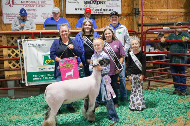 RESERVE CHAMPIION MARKET LAMB: JOIE HUFFMAN