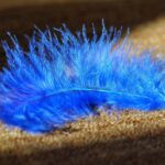 Gathering together keeps our family connections alive feather