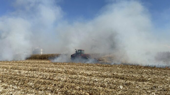fire in field fire in field