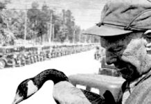 The longstanding legacy of ‘Wild Goose Jack’ miner and goose