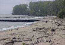 Experts push for smarter water management in Great Lakes