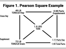How to use a Pearson Square
