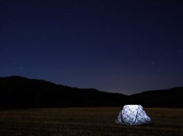 Finding renewal in a quiet pasture campout camping