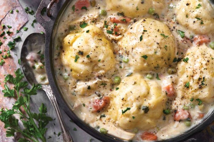 chicken-dumpling-web