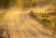 If you ever felt hunger, you’d never condemn the hungry dusty road