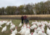 Ohio farm preserves worker’s turkey tradition for Thanksgiving kisamore family