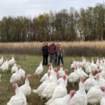 Ohio farm preserves worker’s turkey tradition for Thanksgiving kisamore family