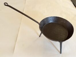 Spiders and salamanders were denizens of early fireplaces spider