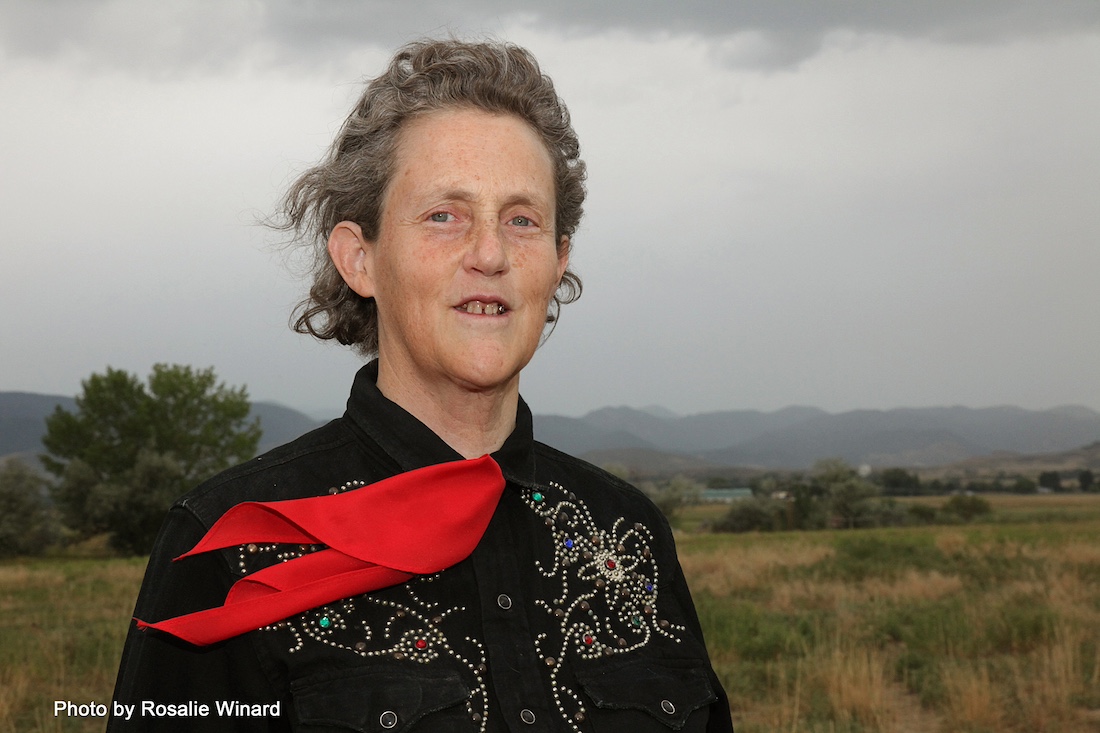 Portage County Farm Bureau to host Temple Grandin May 15
