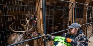 Apthorp Farms offers handicap-accessible reindeer tours in northwestern Pa.