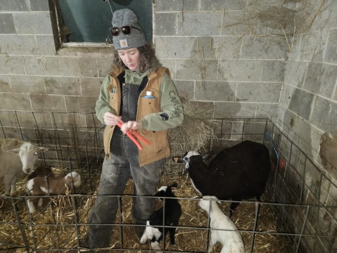 rachel cold weather clothing