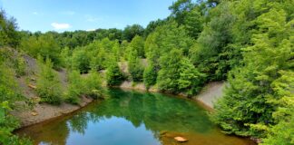 Coal communities could lose crucial funding for cleaning acid mine drainage Anderson Creek