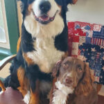 Resolution revamp and a plan for the new year