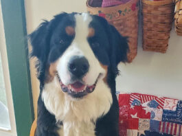 Resolution revamp and a plan for the new year