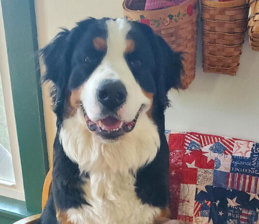 Resolution revamp and a plan for the new year