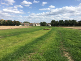 Don’t let your grassed waterways become an afterthought