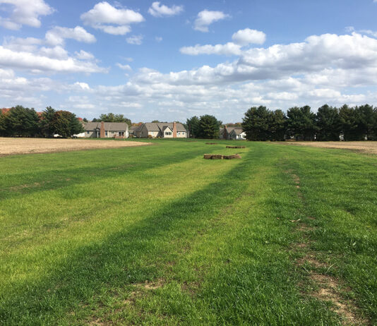 Don’t let your grassed waterways become an afterthought