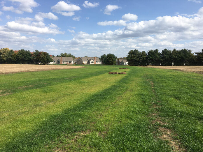 Jim Hayne Grassed waterway_RGB