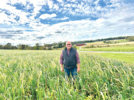 Pennsylvania no-till pioneer named Leopold Conservation Award winner