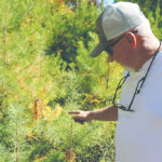 Carbon credit markets help rural landowners hold on to their land