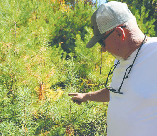 Carbon credit markets help rural landowners hold on to their land