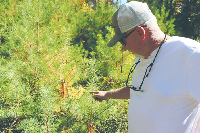 LEDE_Bob-Libby-scaled-WEB