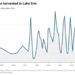 The blue pike: Fact vs. fiction of Lake Erie’s “Loch Ness Monster”