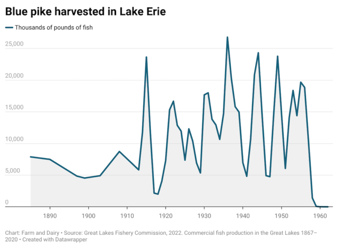 M9xBz-blue-pike-harvested-in-lake-erie-