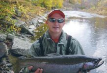 Successes, failures and lessons learned in Ohio wildlife management