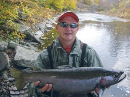 Successes, failures and lessons learned in Ohio wildlife management