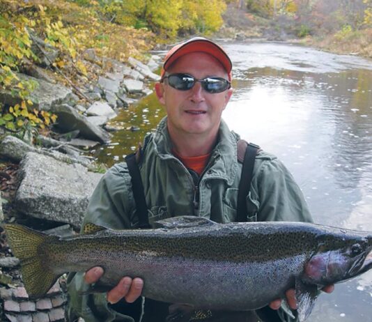 Successes, failures and lessons learned in Ohio wildlife management