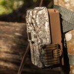 The Hunter’s Honor System: Why some states are banning trail cameras